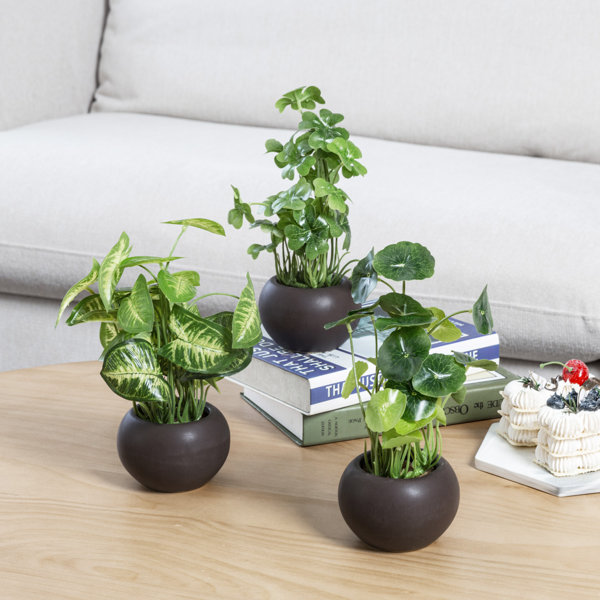 Primrue 8" Indoor Faux Artificial Plant in Brown Pot Wayfair